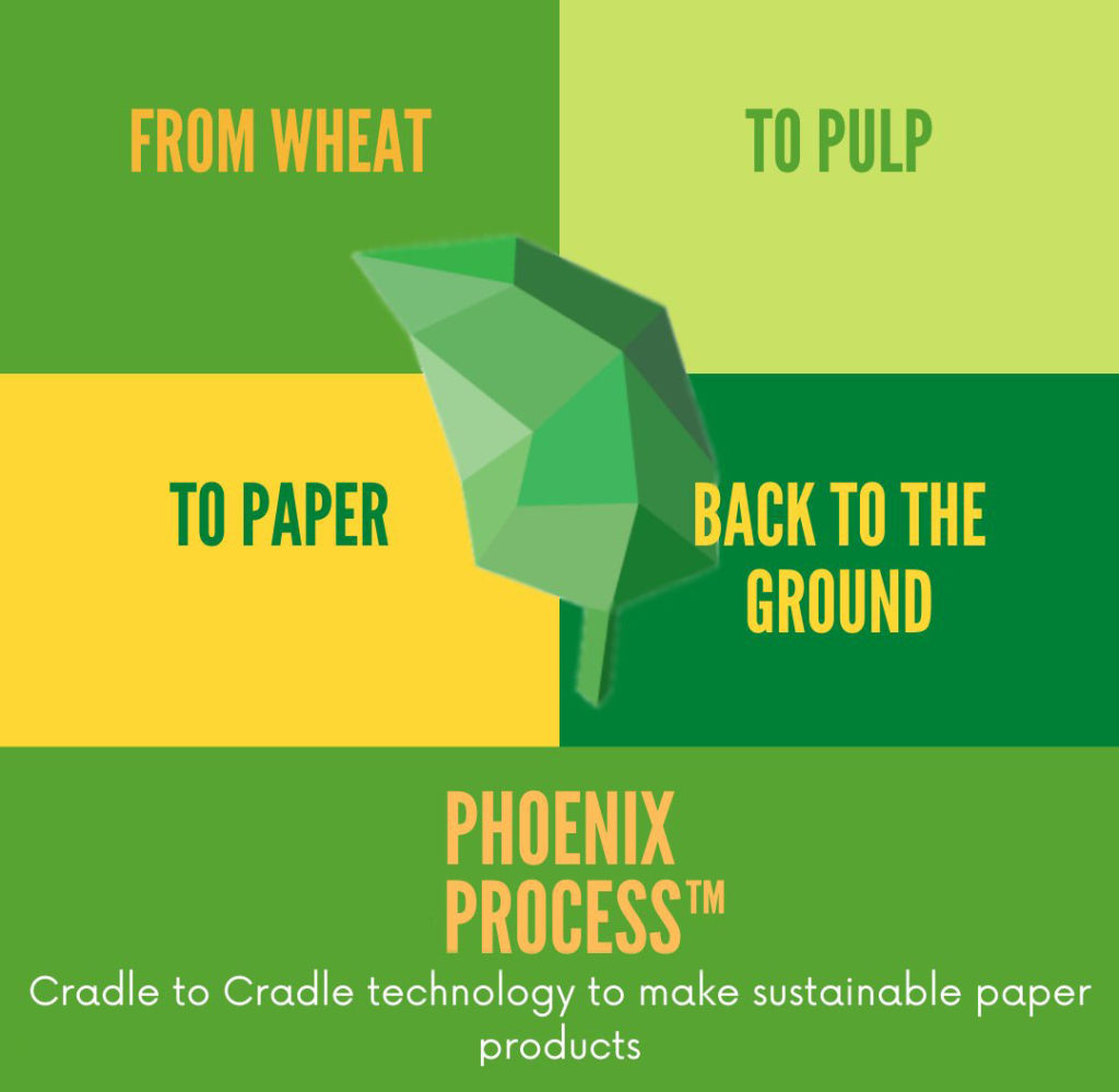 The Phoenix Process Diagram